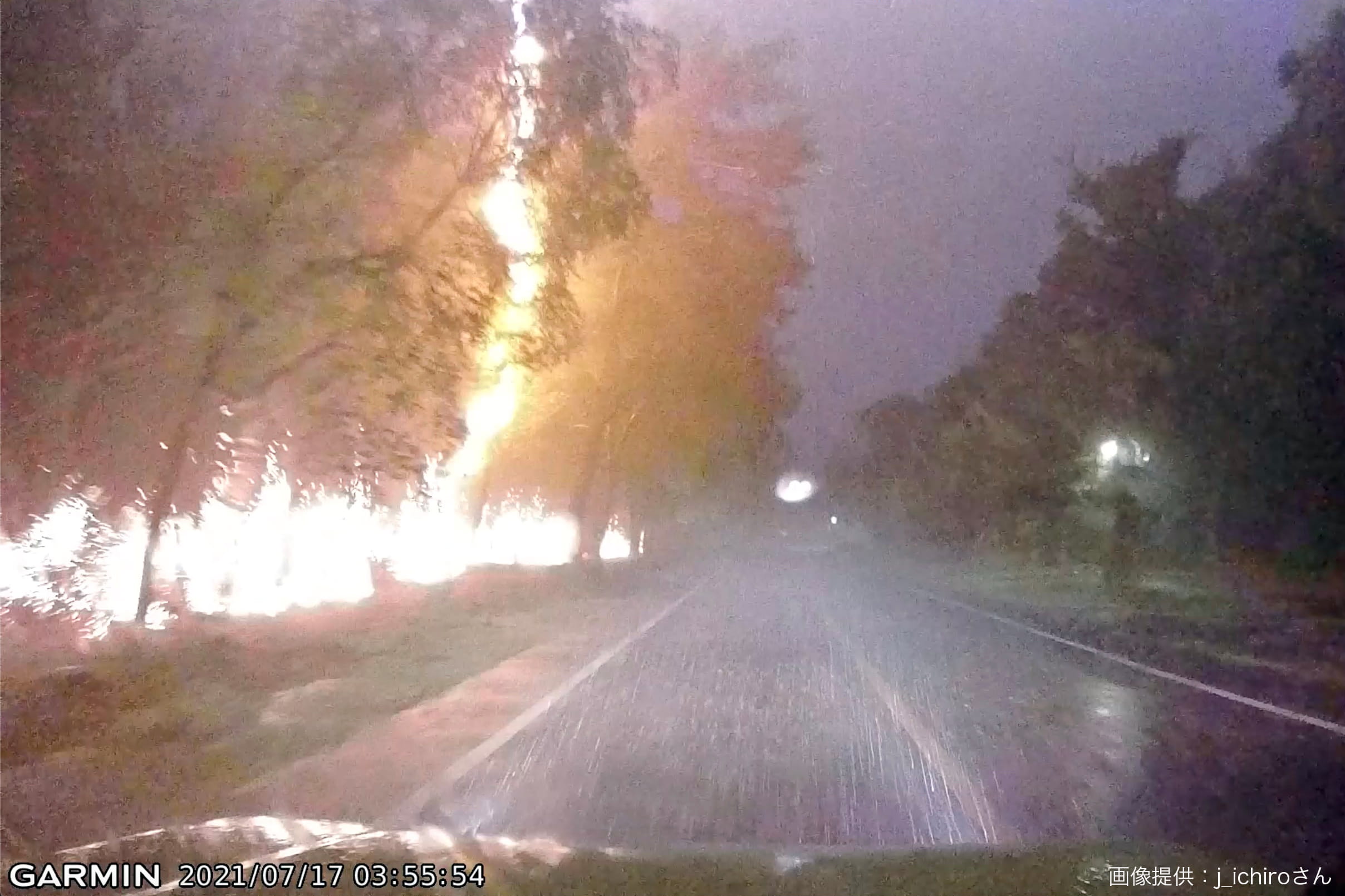 道路すぐ横の街路樹に雷が直撃 撮影者は 落ちた驚きで事故になる可能性も Sirabee