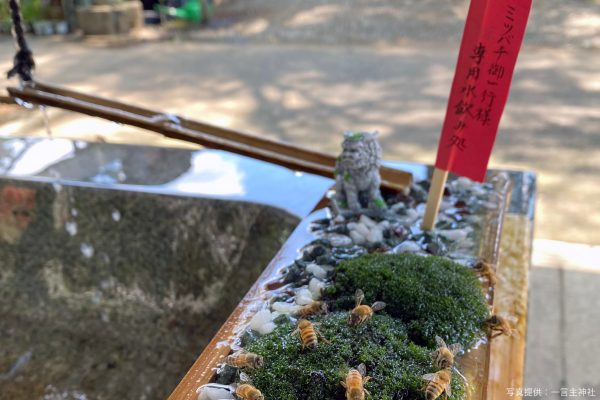 一言主神社・ミツバチ