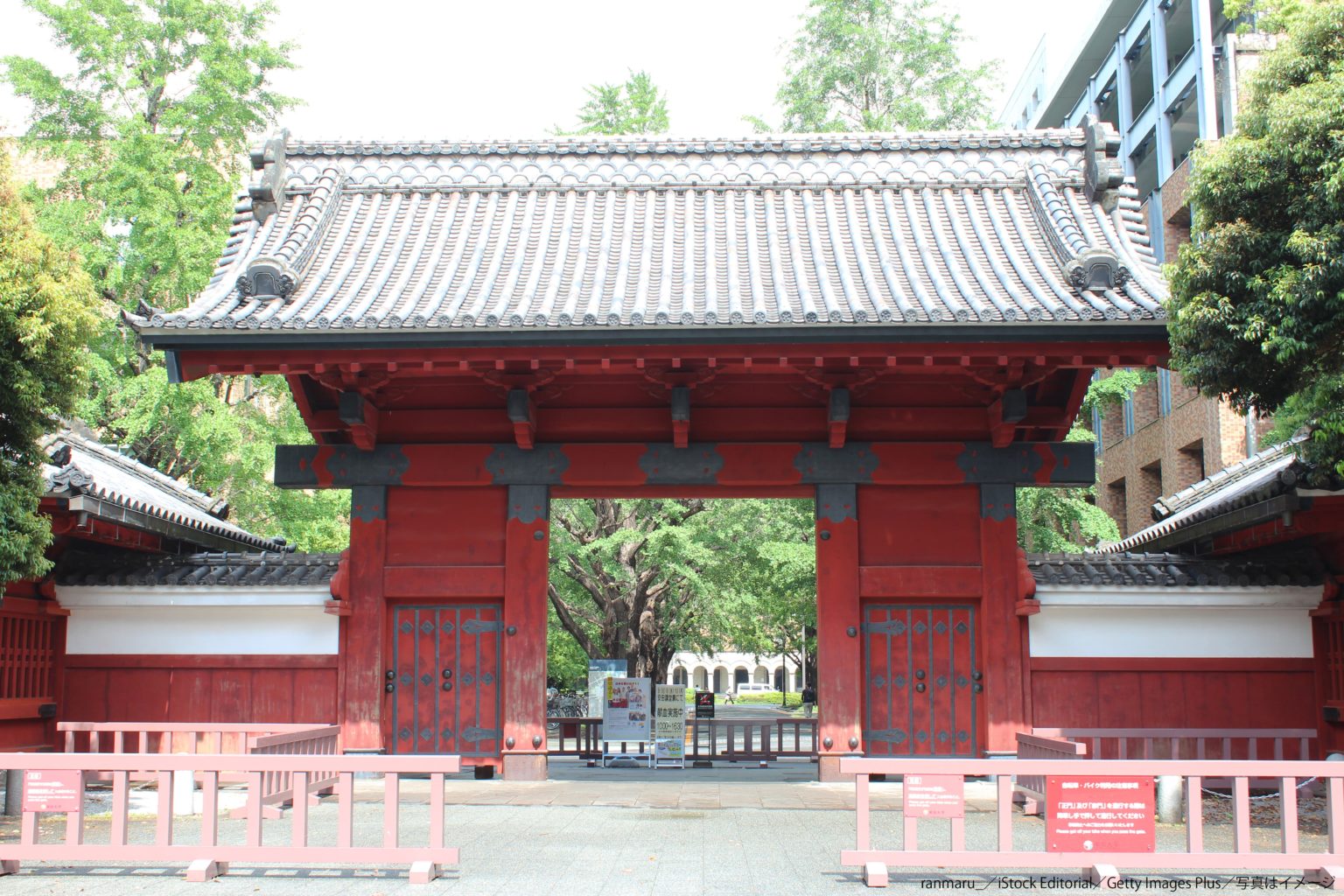 女性にとって「学歴より重要なもの」って？ 本音がリアルすぎる ニュースサイトしらべぇ