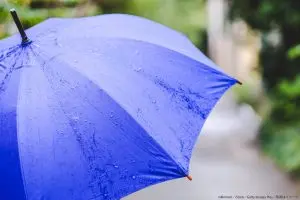 外出先で「傘」を忘れた人は約6割 ”折り畳み傘”で回避している人も…