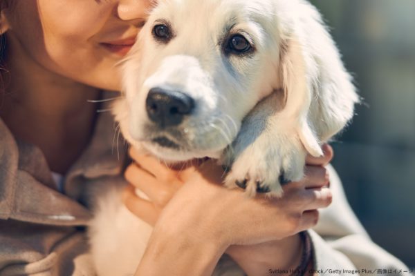 飼い主・ペット・犬・愛犬