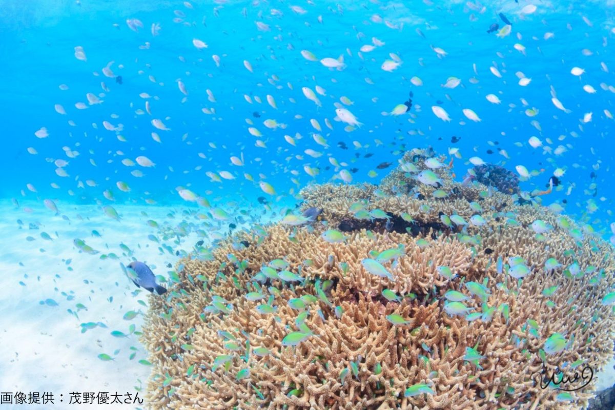 沖縄　海