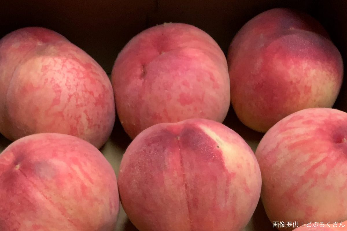 sirabee20210805bakuchiku4