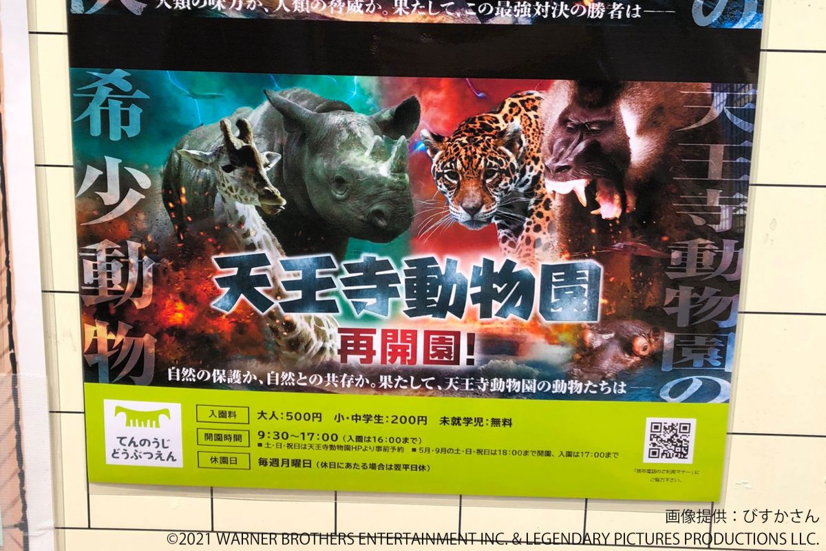 天王寺動物園ポスター