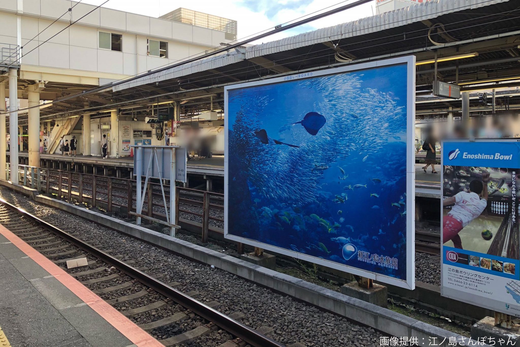 電車の窓から覗いた光景、あまりに衝撃的すぎる… その「粋な正体」が話題にsirabee20210827fujisawa3