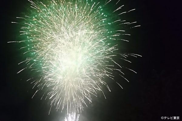 隅田川花火大会特別編