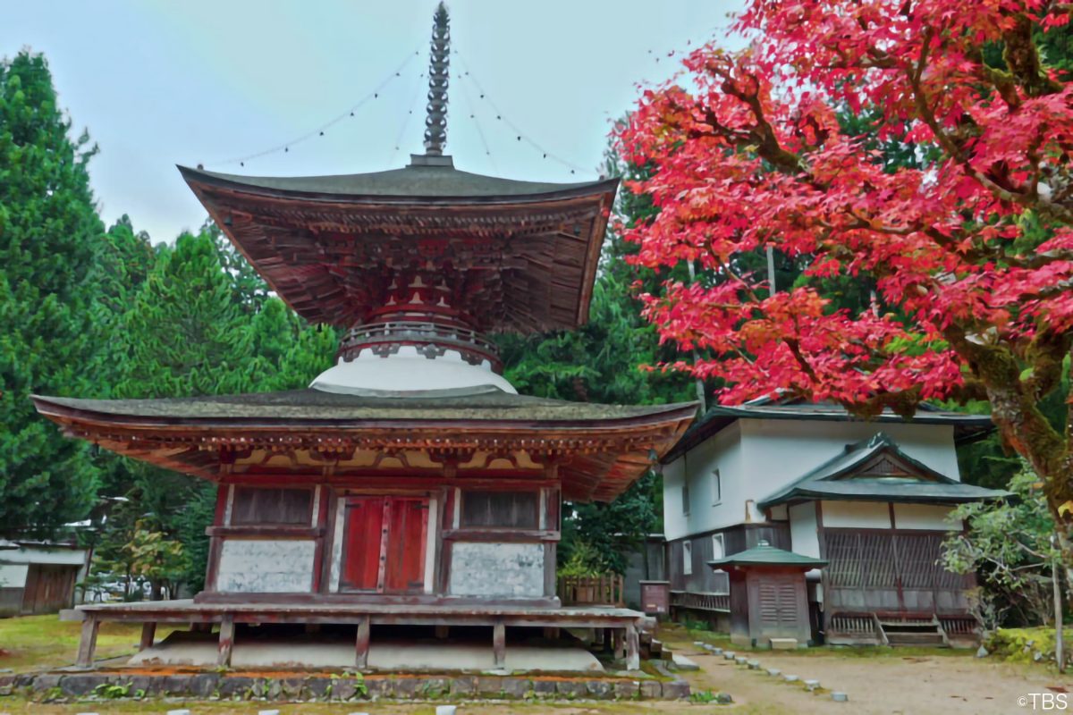 TBS世界遺産・金剛三昧院多宝塔