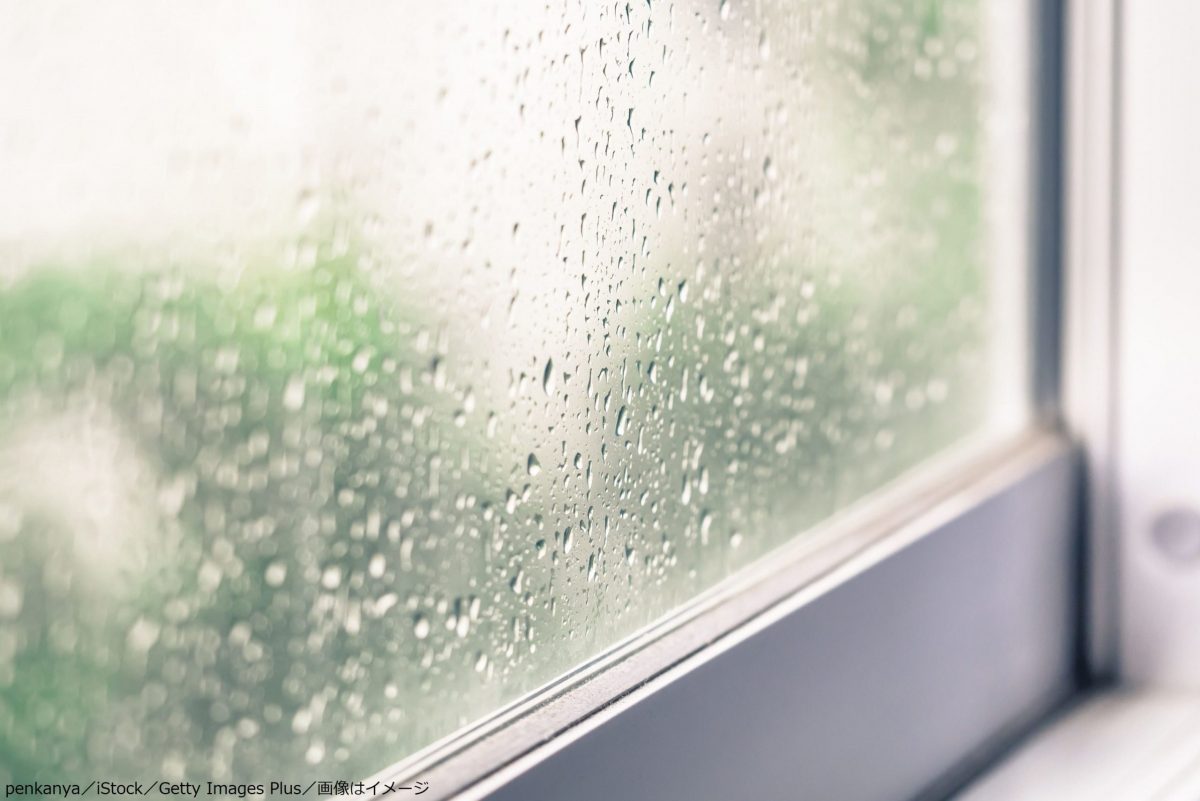 雨の日の窓辺