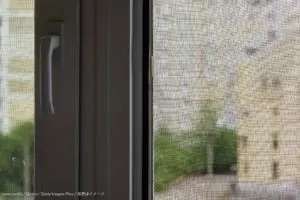 「窓の盲点」知らないと“虫の大量侵入”リスクも？　家づくりのポイントを一級建築士が解説