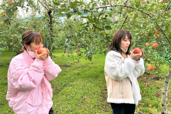 最高の2番手観光地～町民100人に聞いた！絶景！・絶品！・超穴場！～