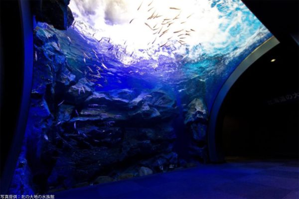 北の大地の水族館