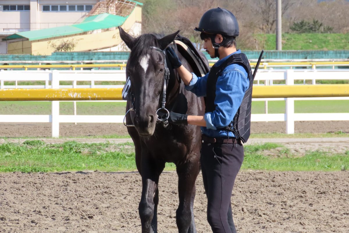 sirabee20211213kazenomukoe1