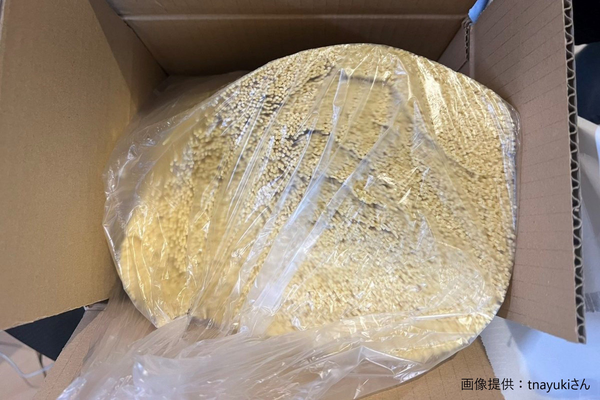 ふるさと納税の返礼品でパスタを選択した男性 自宅に届けられたモノに衝撃走る Sirabee