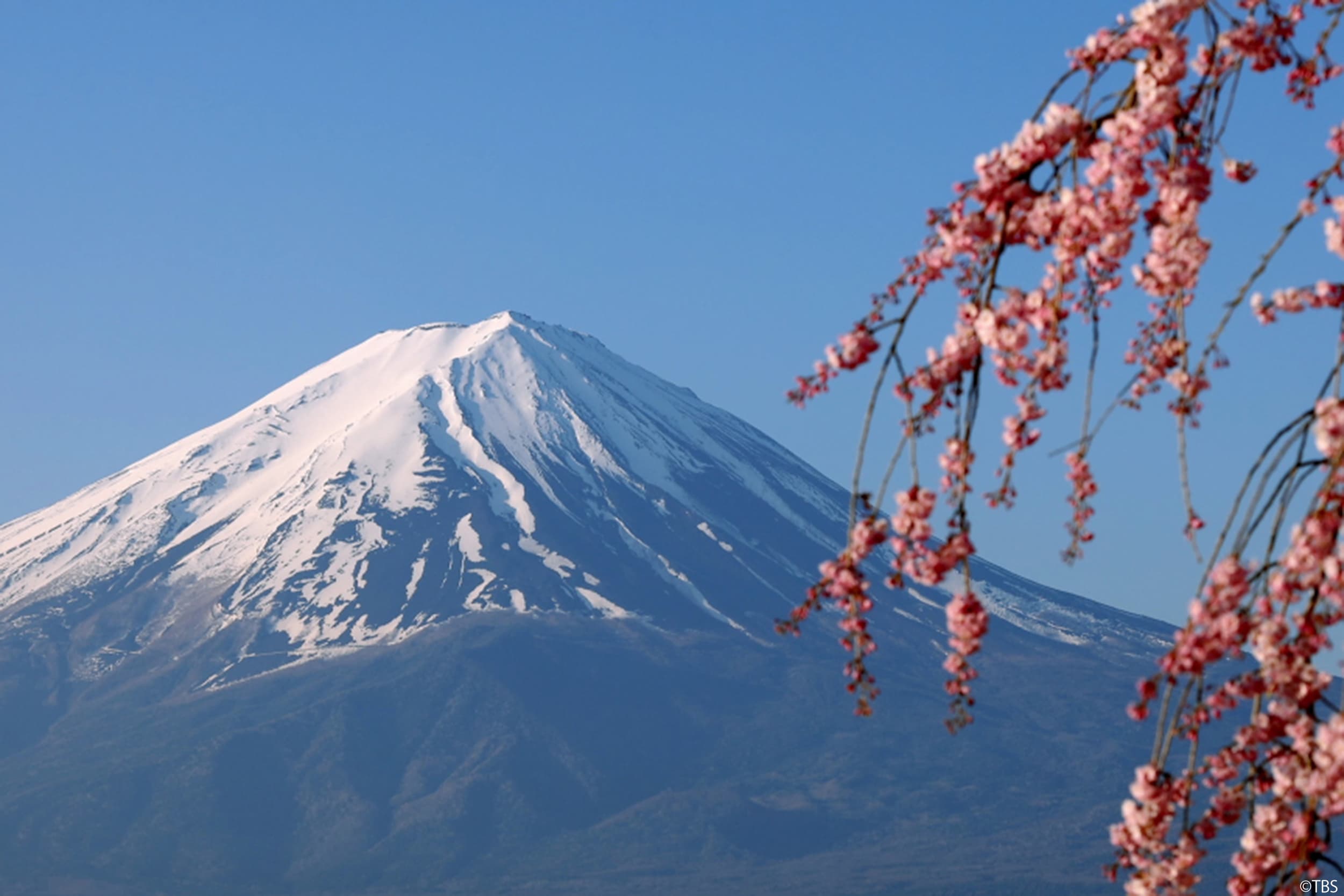 世界遺産』25周年特別編 世界に誇る日本の象徴・富士山の四季を4K8Kで 