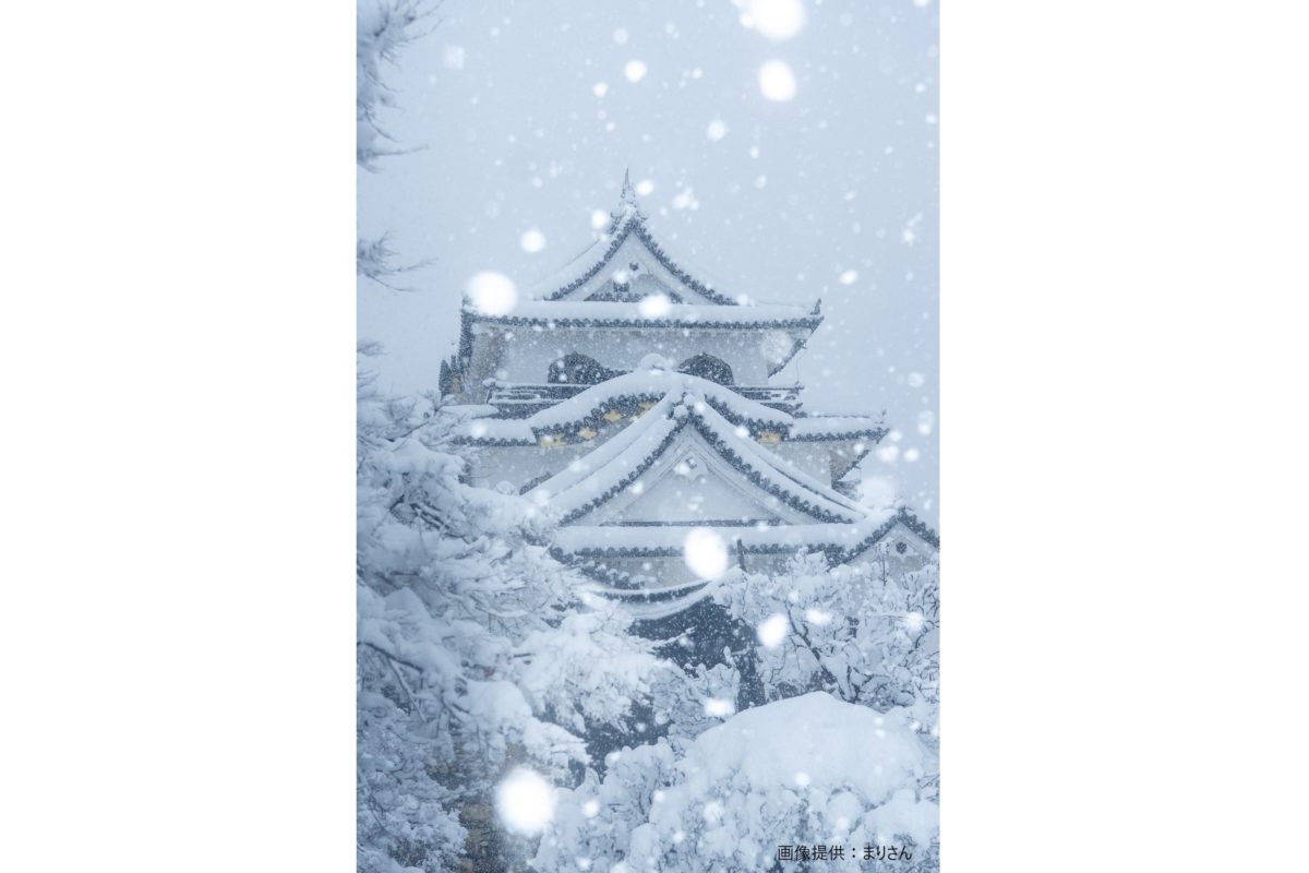 雪化粧された彦根城が幻想的すぎると話題 世界に誇れる雪景色だ Sirabee