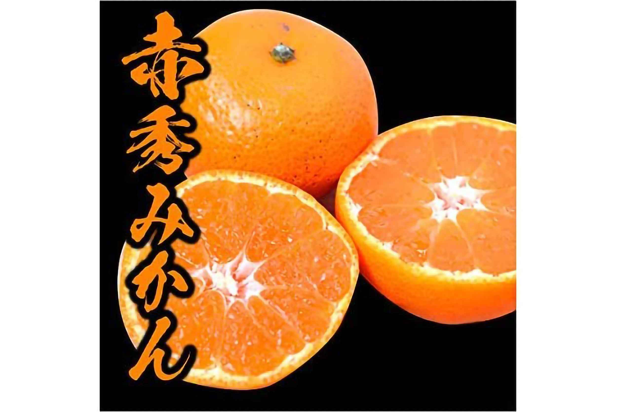 冬のおうち時間のおとも みかん 柑橘類 Amazon注目品種 トップ10 Sirabeemikan1