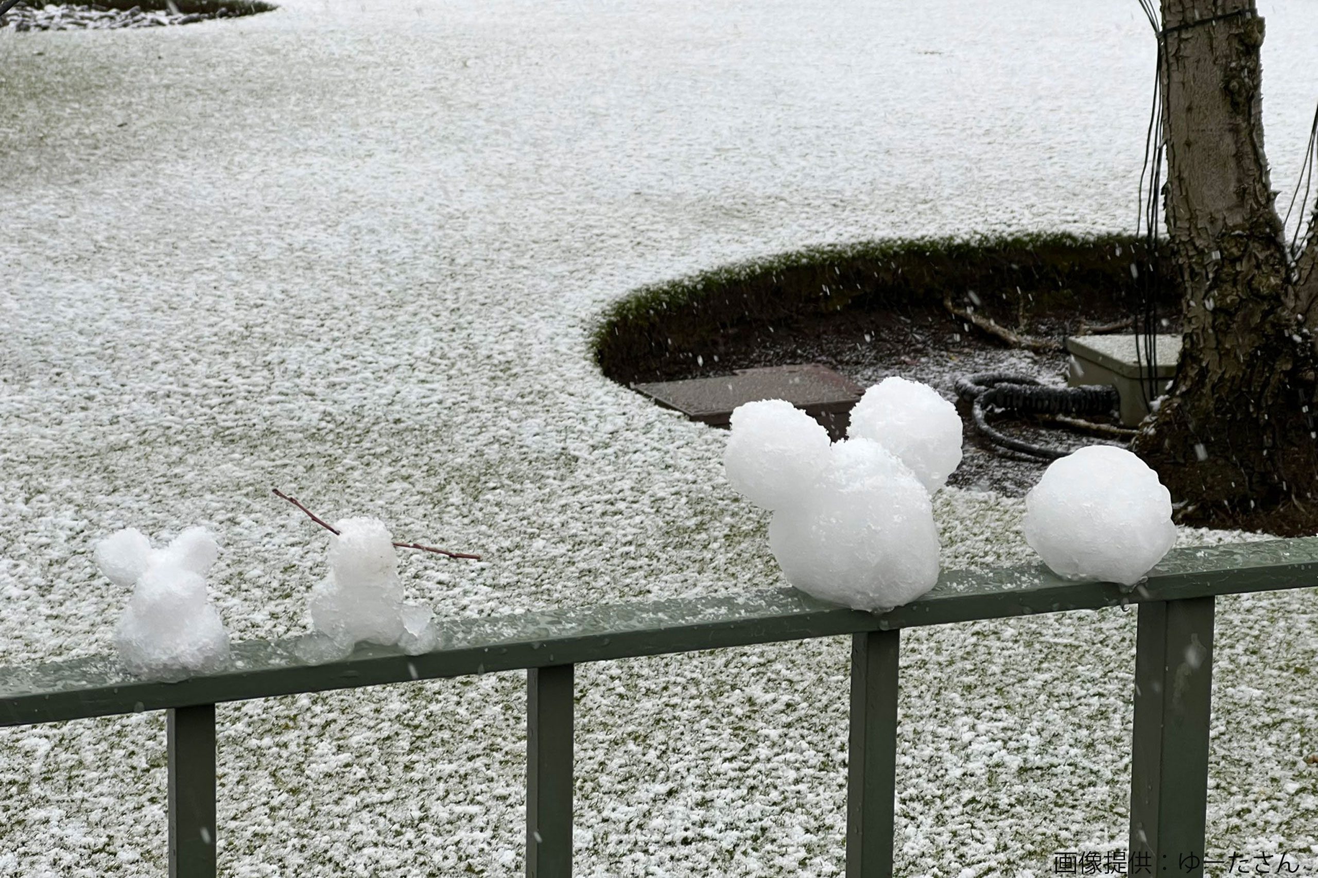 大雪に見舞われた東京ディズニー キャストの 神対応 が話題に 園内の至る所で Sirabee2106disney2