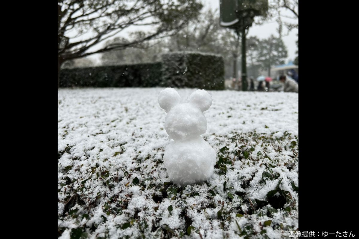 大雪に見舞われた東京ディズニー キャストの 神対応 が話題に 園内の至る所で Sirabee