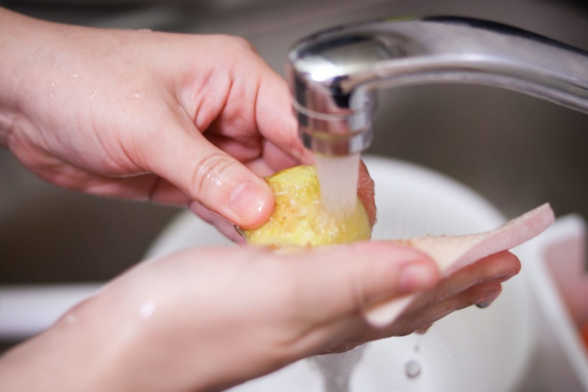 sirabee20220110sponge10