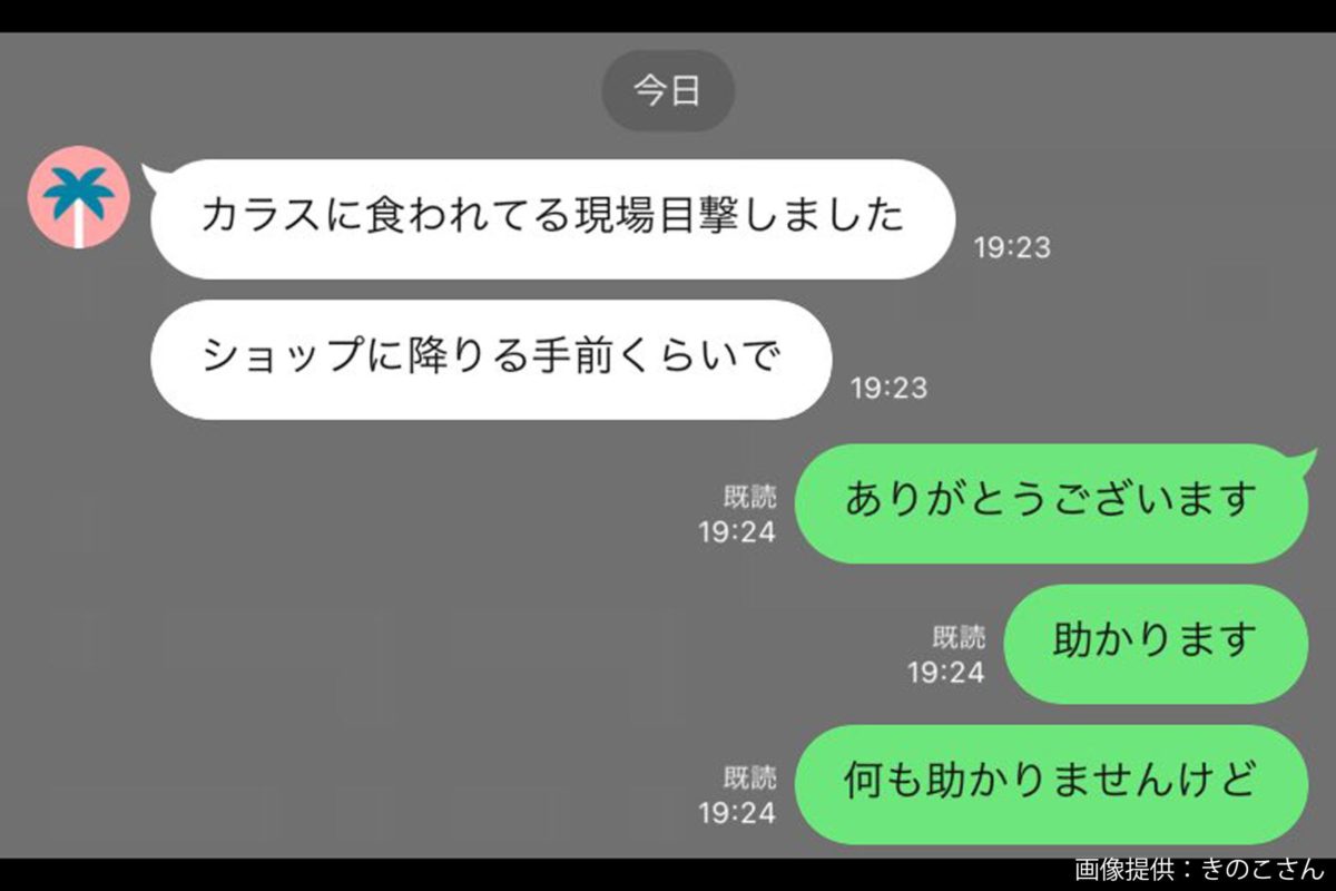 ポケット六法