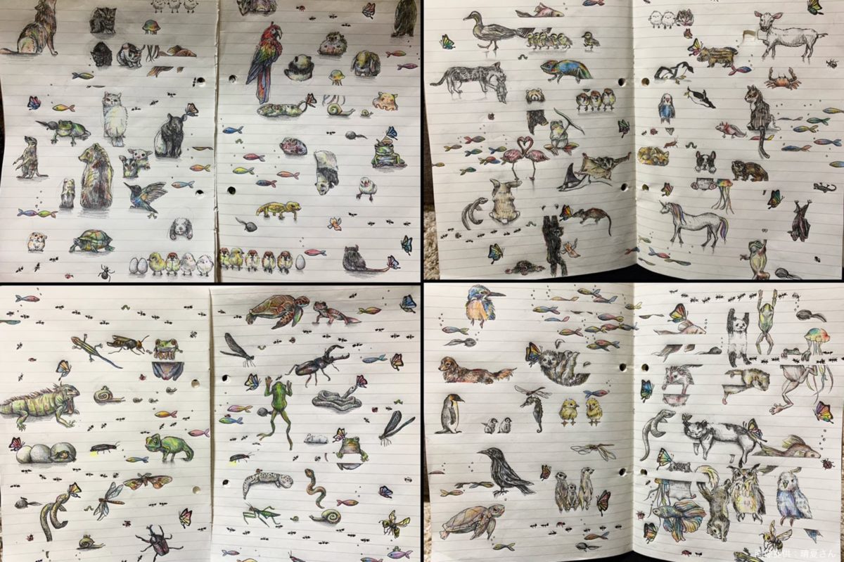 sirabee20220208animal1