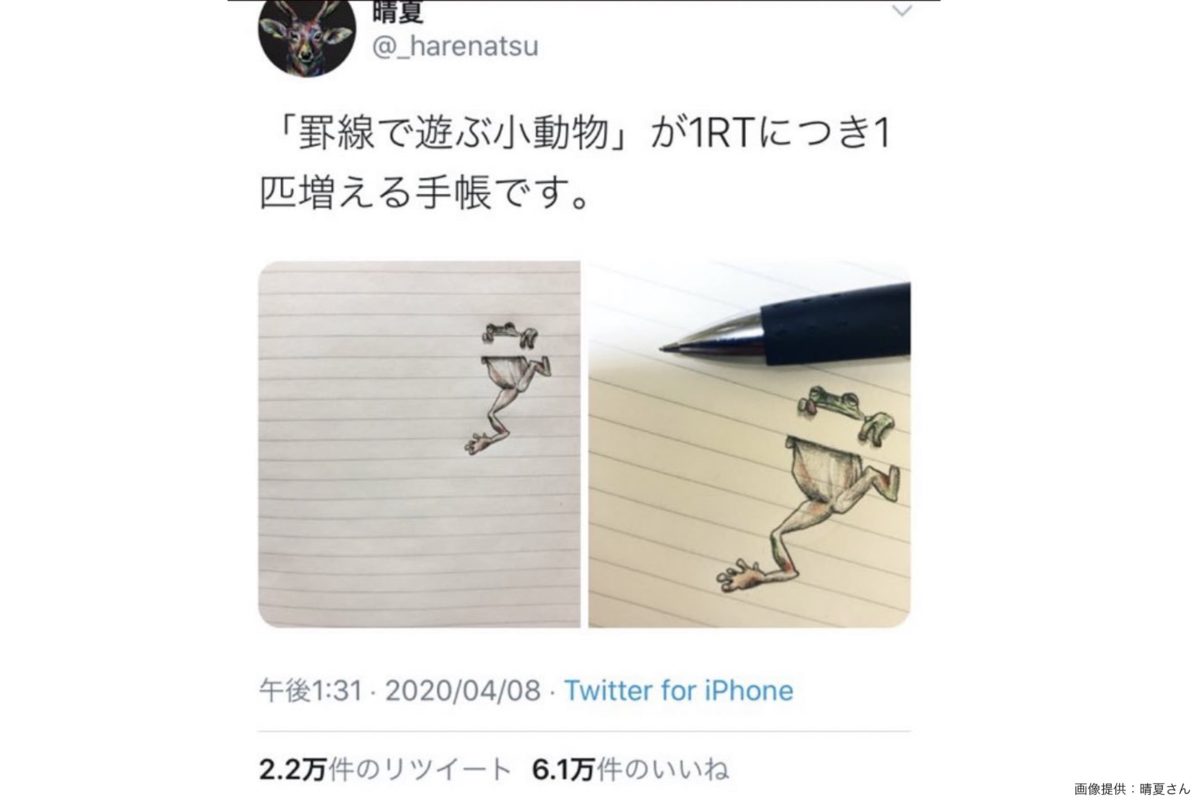 sirabee20220208animal4