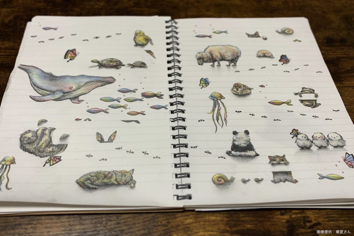 sirabee20220208animal5