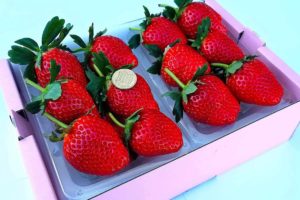 sirabee20220309strawberry3