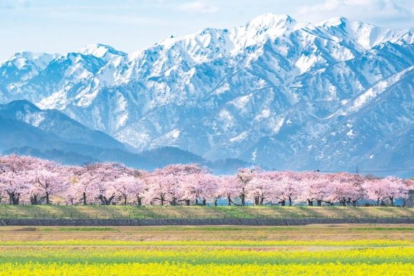 富山県