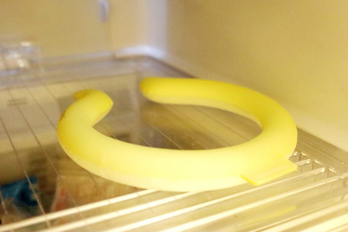 ice ring