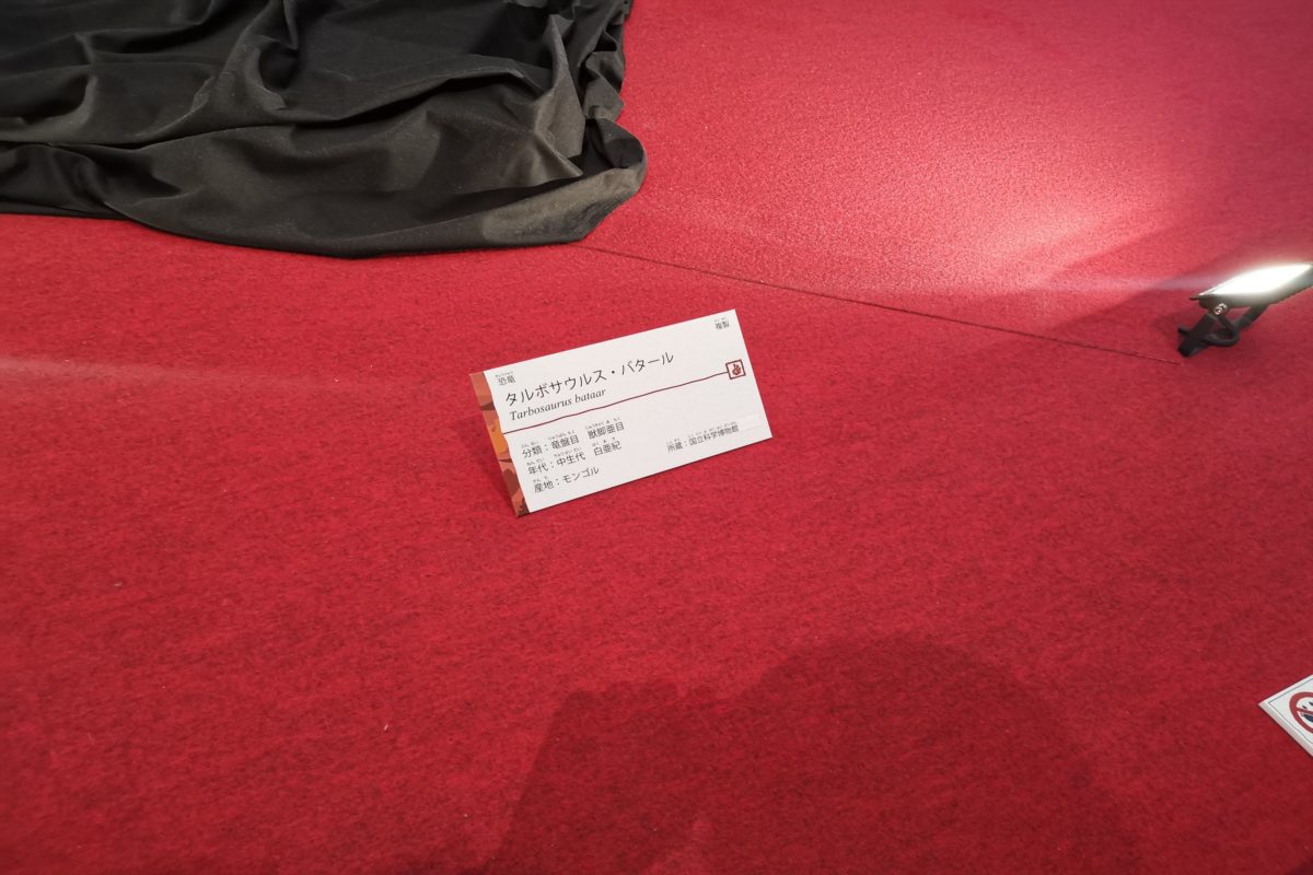 sirabee20220519pokemon013