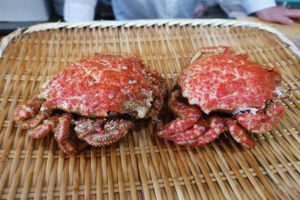 横浜の人気寿司店がまさかの「親子丼」発売　使用する食材がスゴい