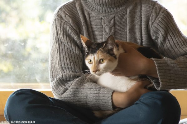 ねこ物件