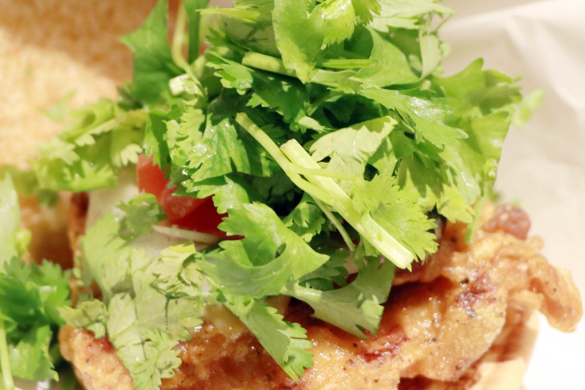 sirabee20220531coriander10