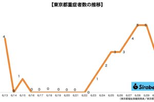 新型コロナウイルス