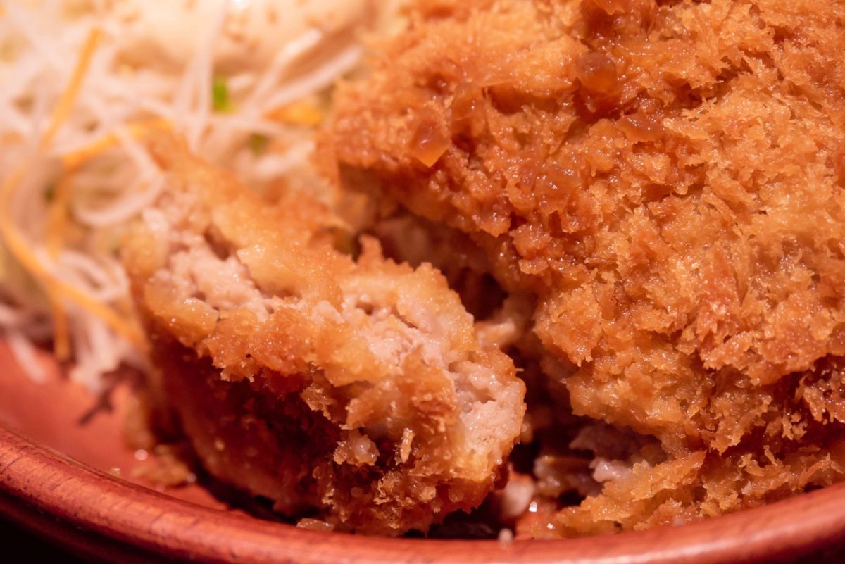 202200708bikkuridonkey05