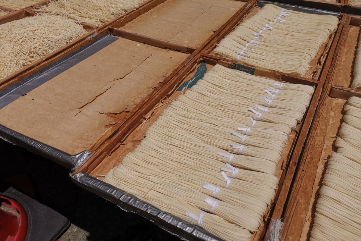 220627-113432sirabee202200703kumamotosomen008