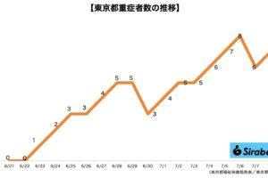 新型コロナウイルス