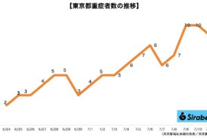 新型コロナウイルス