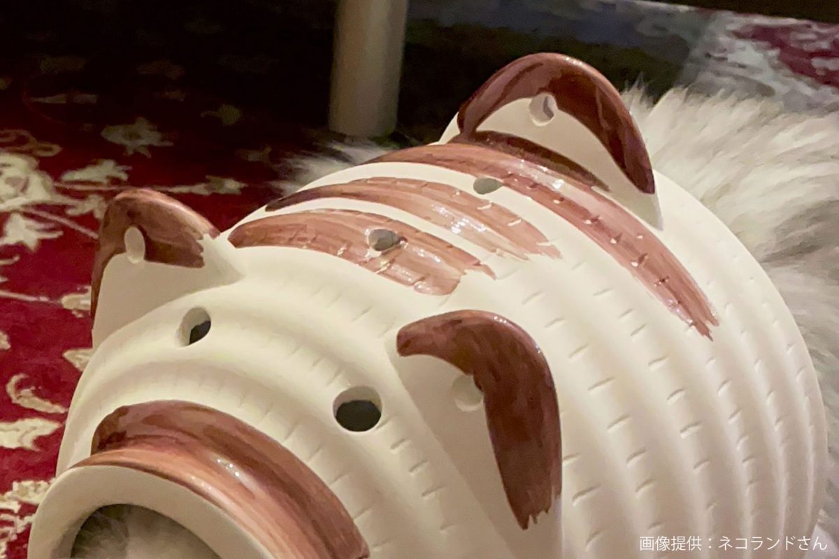 sirabee20220729katorisenko