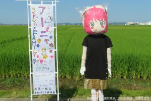 sirabee20220808tsubameshi7