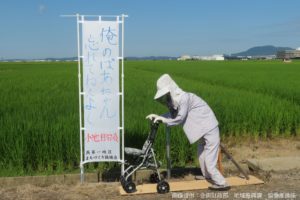 sirabee20220808tsubameshi8