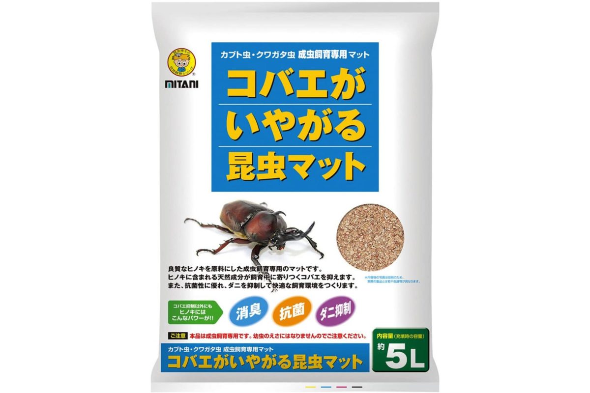 昆虫採集・飼育グッズ」おすすめ 子供と一緒に夏を楽しもう – Sirabee