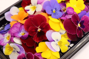 映える華やかアイテム「食用花」　売れ筋ランキングトップ10