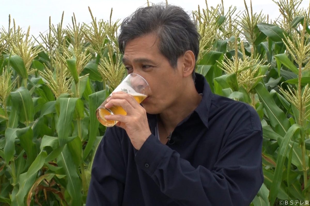 sirabee20220824yasainohi4