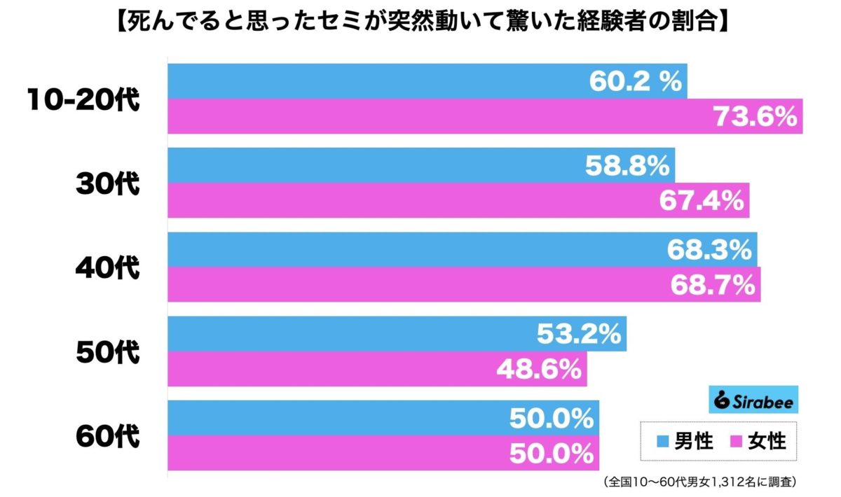 セミファイナル・セミ爆弾