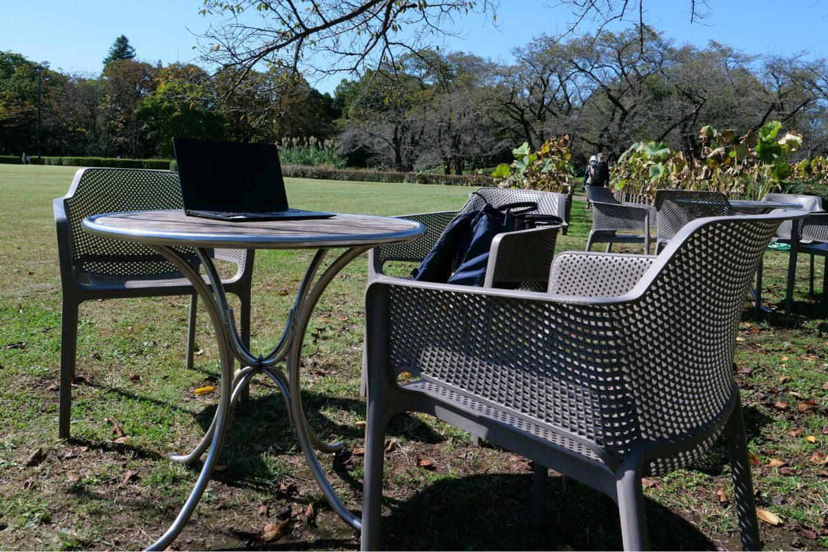 sirabee20221025terework8