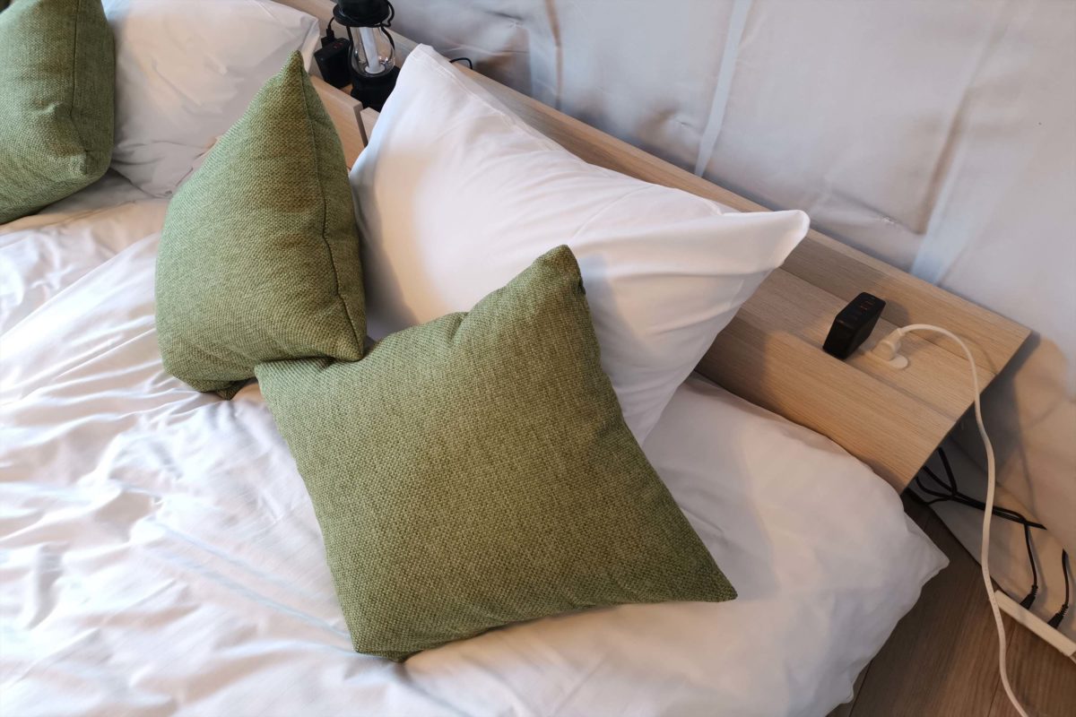 sirabee20221129yamanakako009