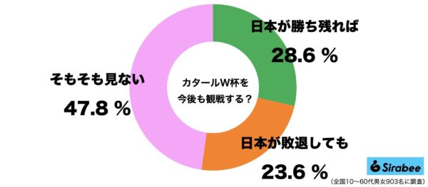 サッカーW杯