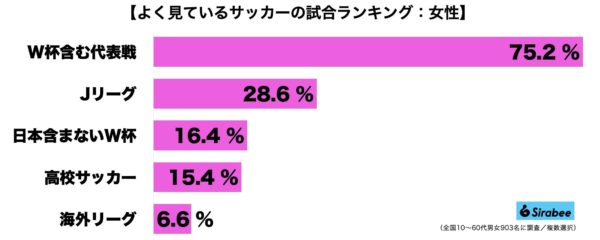 サッカー観戦